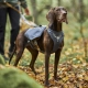 Hurtta Expedition Pack ECO batoh ostružinový 75-95 cm
