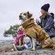 Hurtta Monsoon Coat II ECO pláštěnka pro psy písková 30 cm