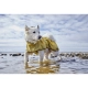 Hurtta Mudventure Coat Reflective pláštěnka pro psy 45 cm