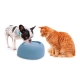 Imac fontánka pro kočky a psy 2 l modrá ARCHIV