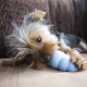 Kong Puppy gumová hračka MIX barev vel. S