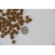 Marp Natural Plus Puppy 2 kg
