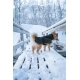 Non-stop obleček Wool Dog Jacket 65 cm
