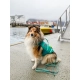 Non-stop plovací vesta Protector vel. 5 teal