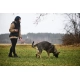 Non-stop Working Dog postroj Line Grip vel. 7