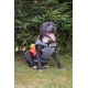 Obleček Frankie XL oranžovo-šedý 46 cm