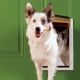 Odolná dvířka pro psy PetSafe Extreme Weather Door L