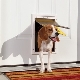Odolná dvířka pro psy PetSafe Extreme Weather Door S