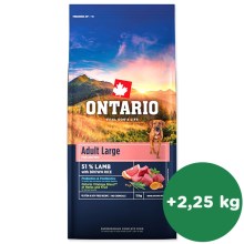 Ontario Adult Large Lamb & Brown Rice 12 kg