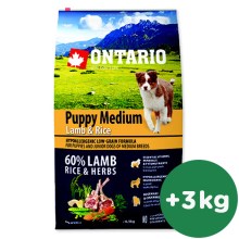 Ontario Puppy Medium Lamb & Rice 6,5 kg