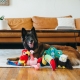 P.L.A.Y. dárkový set hraček pro psy "Fetching Flock" 35 cm ARCHIV