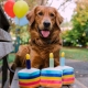 P.L.A.Y. hračka pro psy narozeninový dort 16 cm