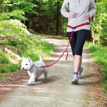 Pás na běh s vodítkem pro malé a střední psy