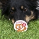 Placka Spokojeného psa "Aktivní člen kočičího odboje"