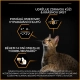 Pro Plan Cat Adult Derma Care Salmon 10 kg