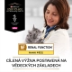 Pro Plan VD Feline NF Renal Early Care Chicken 10x 85 g