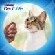 Purina DentaLife Cat losos 40 g