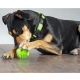 Rogz Fred Treat plnící míček pro psy modrý 6,4 cm