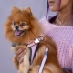 Rogz Urban Fast-Fit postroj Pink Blush vel. M