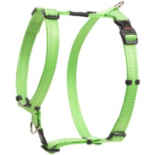 Rogz Utility Classic postroj zelený vel. XL Rogz Utility Classic postroj zelený vel. XL
