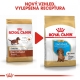 Royal Canin BHN Dachshund Puppy 1,5 kg