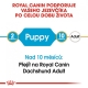 Royal Canin BHN Dachshund Puppy 1,5 kg