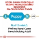Royal Canin BHN French Bulldog Puppy 3 kg