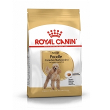 Royal Canin BHN Poodle Adult 1,5 kg