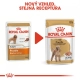 Royal Canin BHN Poodle kapsičky 12x 85 g ARCHIV