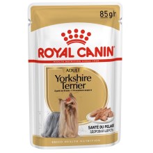 Royal Canin BHN Yorkshire kapsičky 12x 85 g