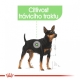Royal Canin CCN kapsičky Digestive Care 12 x 85 g ARCHIV