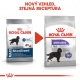 Royal Canin CCN Maxi Sterilised Adult 9 kg ARCHIV