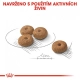 Royal Canin CCN Sterilised Mini 8 kg 