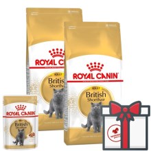 Royal Canin FBN British Shorthair Adult SET 2x 10 kg