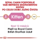 Royal Canin FBN British Shorthair Kitten 10 kg ARCHIV