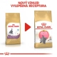 Royal Canin FBN British Shorthair Kitten 2 kg ARCHIV