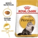 Royal Canin FBN Persian Adult 10 kg