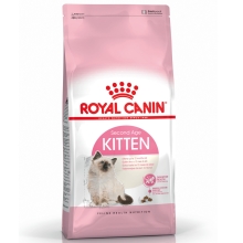 Royal Canin FHN Kitten 10 kg