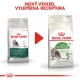 Royal Canin FHN Outdoor (7+) 400 g
