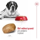 Royal Canin SHN Giant Adult 15 kg