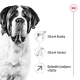 Royal Canin SHN Giant Adult 15 kg