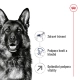 Royal Canin SHN Maxi Adult 15+3 kg ZDARMA