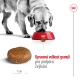 Royal Canin SHN Maxi Adult 15 kg