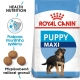 Royal Canin SHN Maxi Puppy 4 kg ARCHIV