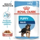 Royal Canin SHN Maxi Puppy kapsičky 10x 140 g