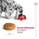 Royal Canin SHN Medium Adult 15 kg