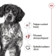 Royal Canin SHN Medium Adult kapsičky 10x 140 g