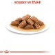 Royal Canin SHN Medium Adult kapsičky 10x 140 g