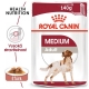 Royal Canin SHN Medium Adult kapsičky 10x 140 g