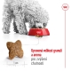 Royal Canin SHN Mini Adult 8 kg